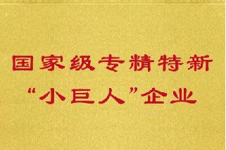 長(zhǎng)隆科技入選第四批 國(guó)家級(jí)專精特新“小巨人”企業(yè)